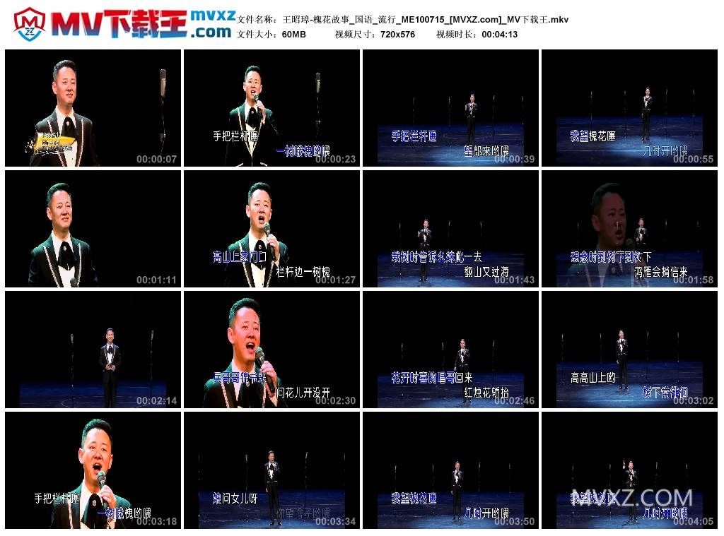 王昭璋-槐花故事_国语_流行_ME100715